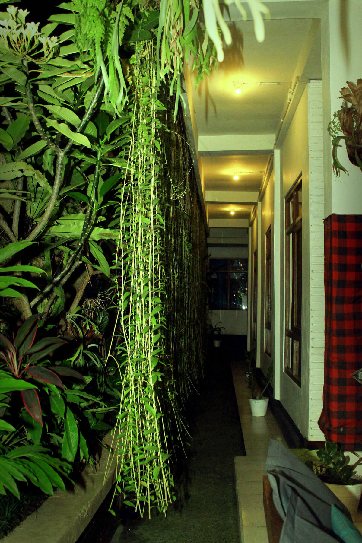 Friendly House Bali Hostel Ubud Exterior foto